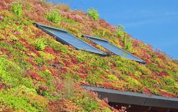Mains Of Ardestie living roof systems