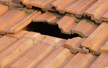 roof repair Mains Of Ardestie, Angus