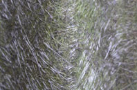 Mains Of Ardestie fibreglass roof work